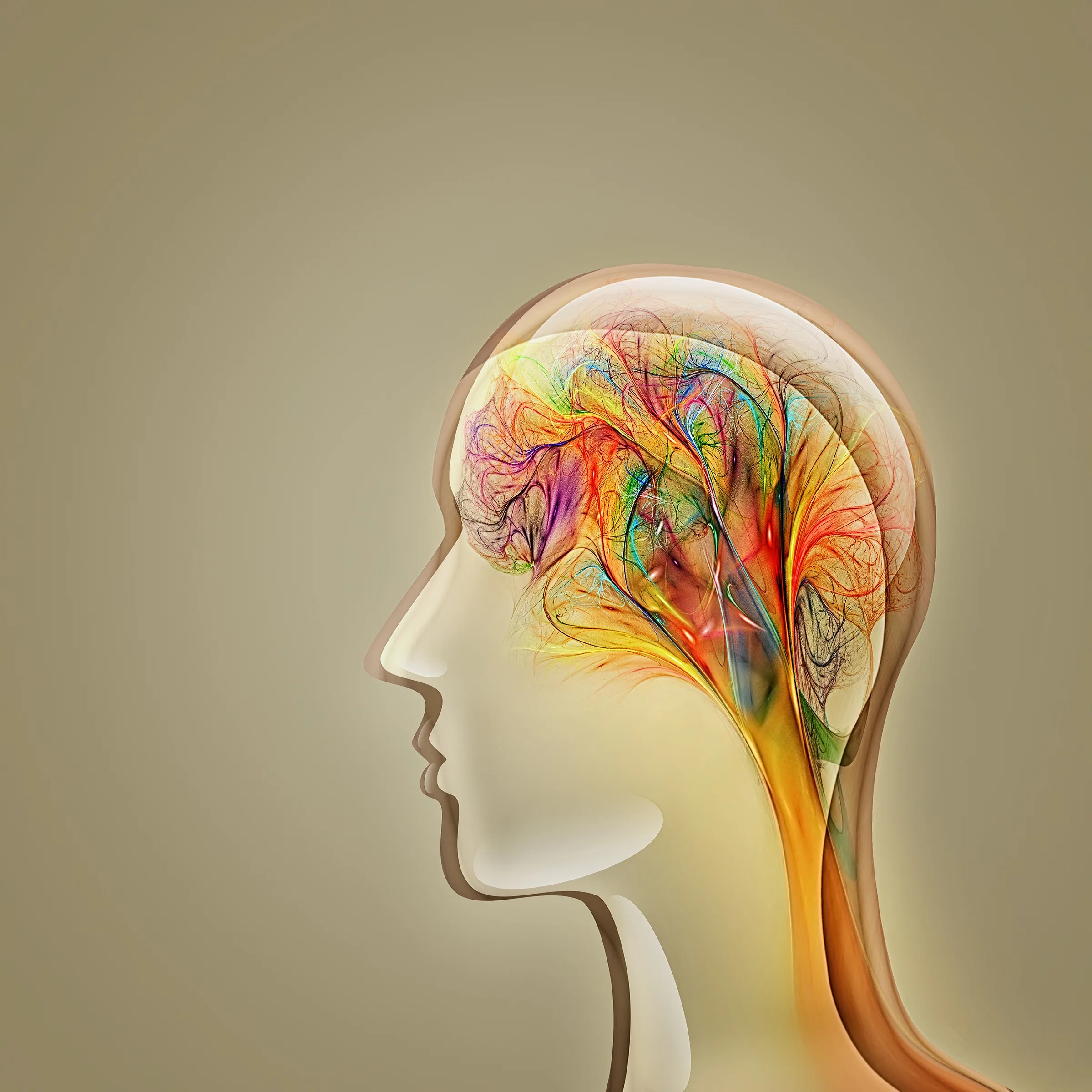 User Engagement in Goodville Spatial Working Memory Task